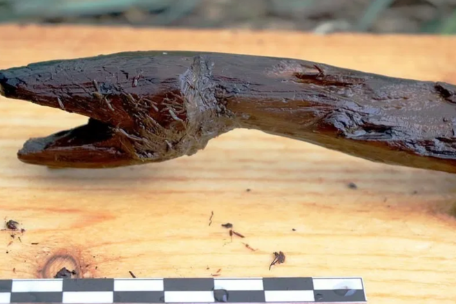 Древний посох-змея лишил дара речи финского археолога - NEWS.ru - 30.06.21