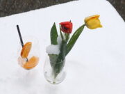 Климатолог объяснил аномальные морозы на юге Африки