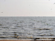 Воду для Крыма начали добывать под Азовским морем