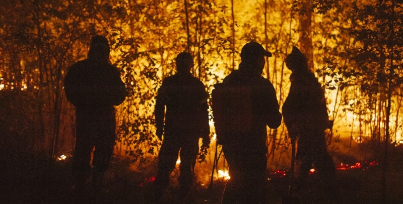 Лесные пожары &mdash; предисловие громких отставок - NEWS.ru &mdash; 11.08.21